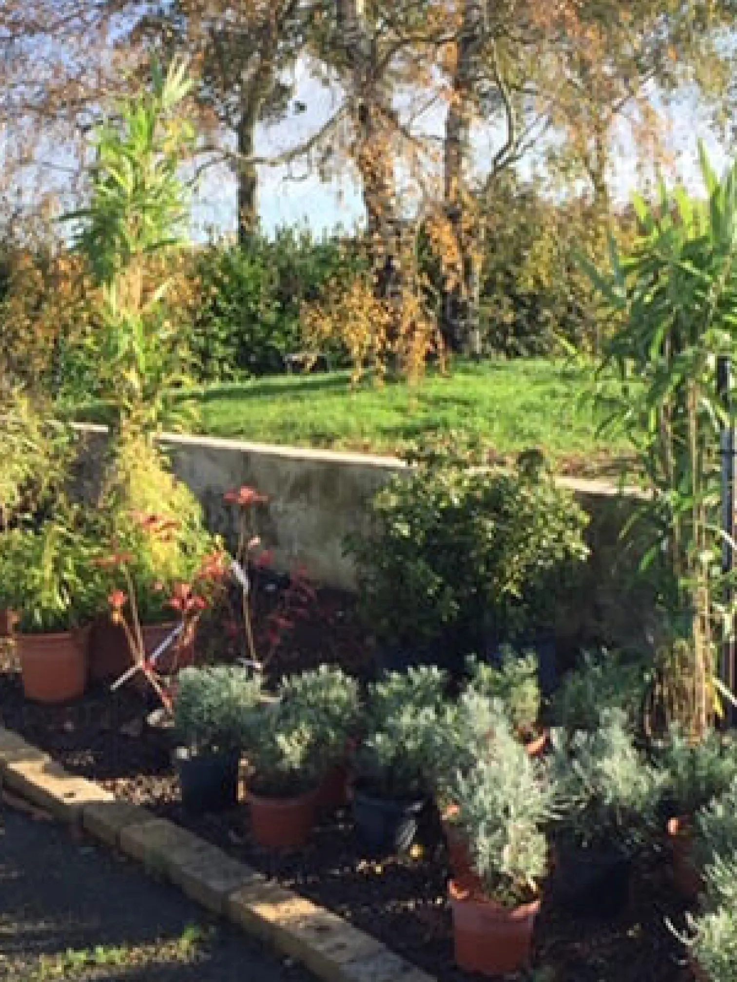 P&eacute;pini&egrave;re - Vente De V&eacute;g&eacute;taux