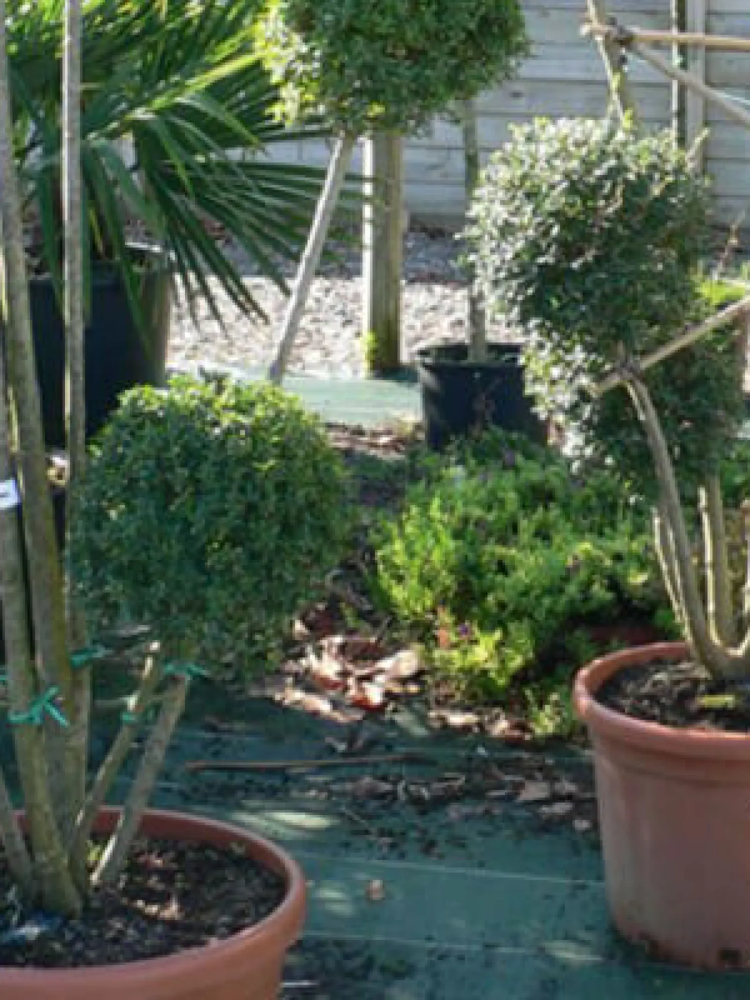 Entretien jardins 85